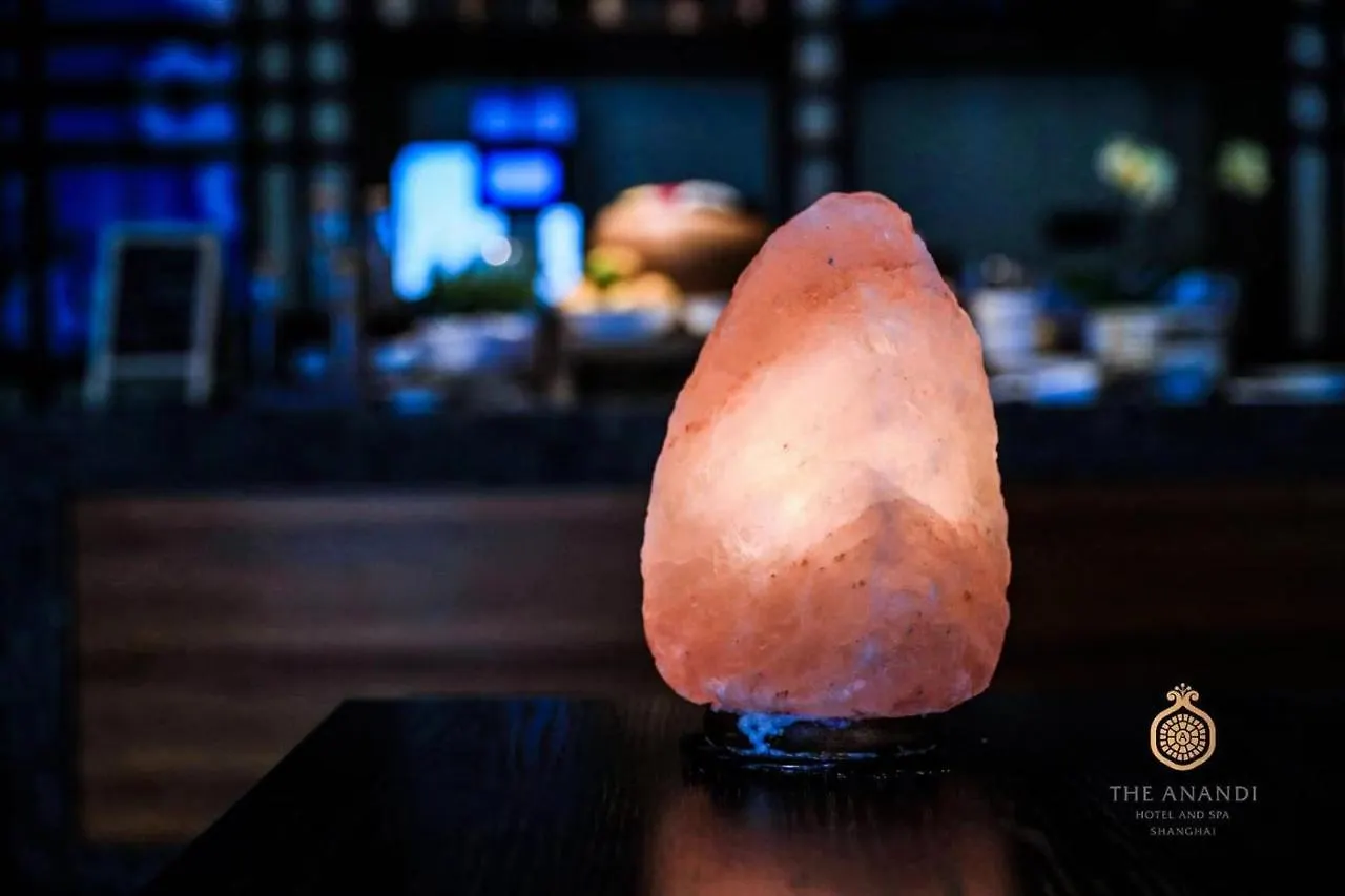 The Anandi Hotel And Spa - Luxury Healing Hotel For Wellbeing Shanghai