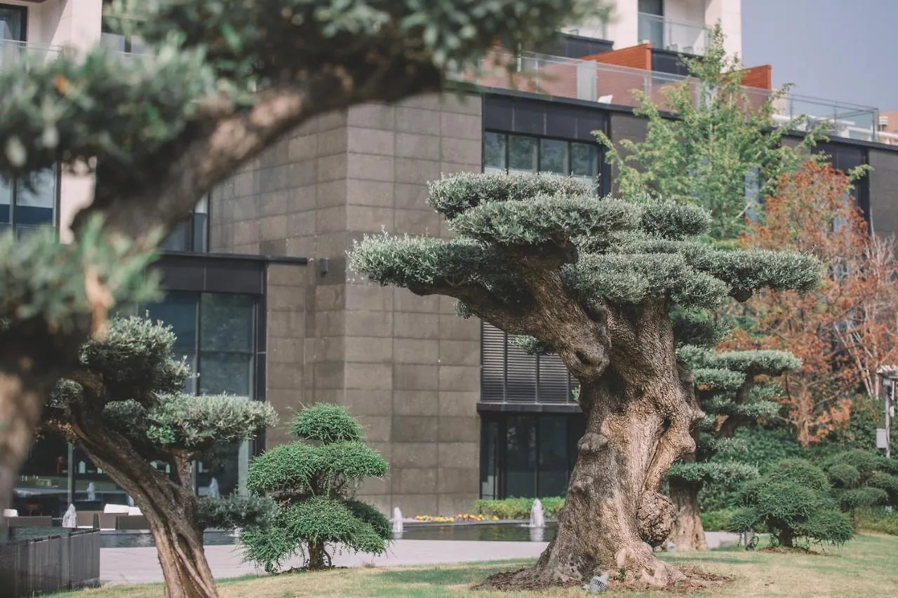 The Anandi Hotel And Spa - Luxury Healing Hotel For Wellbeing Shanghai